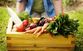 Zöldségek és gyógynövények együttes termesztése