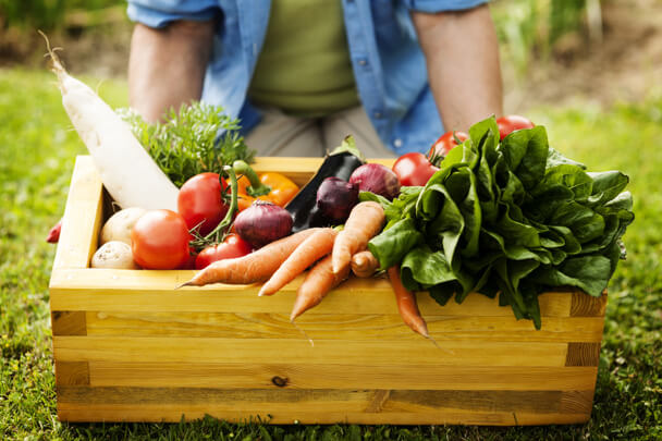Zöldségek és gyógynövények együttes termesztése