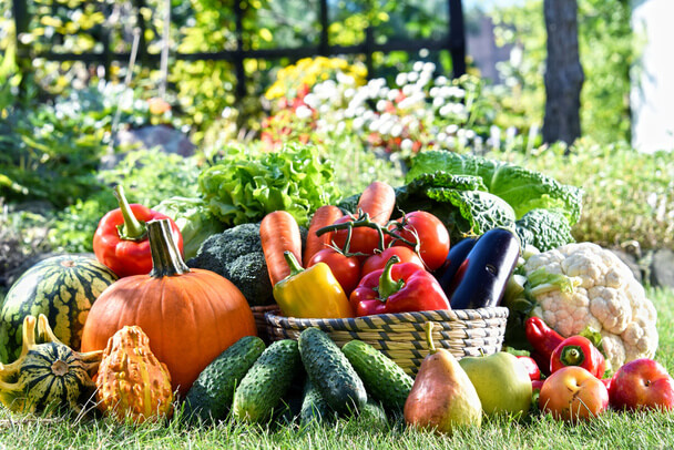 A zöldségek egészségügyi előnyei