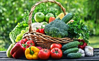Bio és organikus zöldségtermesztés: Előnyök és hátrányok
