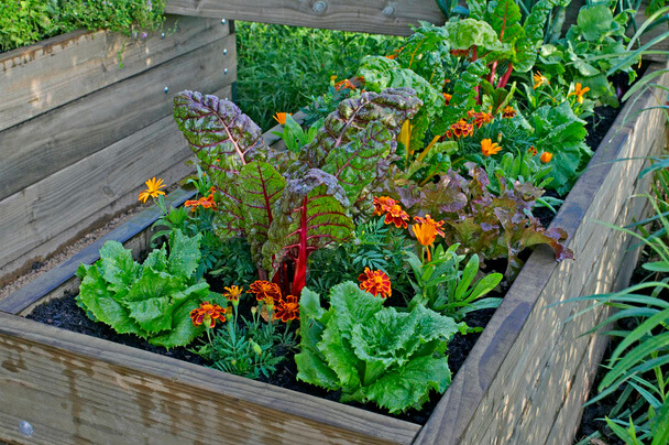 Magaságyás méretek: Tervezd meg a tökéletes kerti ágyásodat!