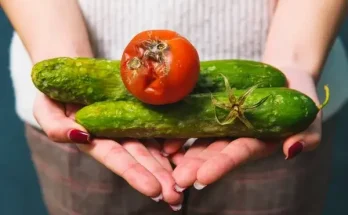 A leggyakoribb hibák, amiket a zöldségtárolásnál elkövetünk