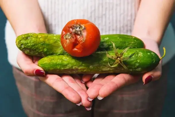 A leggyakoribb hibák, amiket a zöldségtárolásnál elkövetünk