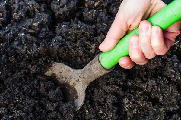 A talaj fontossága a zöldségtermesztésben: amit tudni érdemes