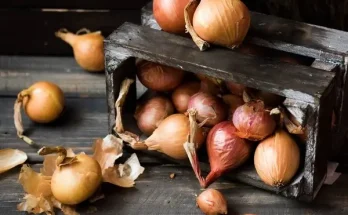 Vöröshagyma tárolása: Hogyan őrizd meg hosszú ideig?