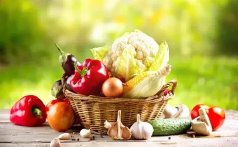 Miért érdemes bio zöldségeket választani? Előnyök és hátrányok