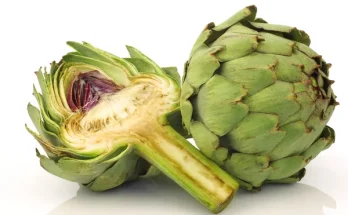 Articsóka nevelése otthon: Különleges zöldség a kertedben