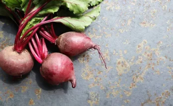 Cékla vetése és ápolása: Hogyan érj el mély színű, édes gyökeret?