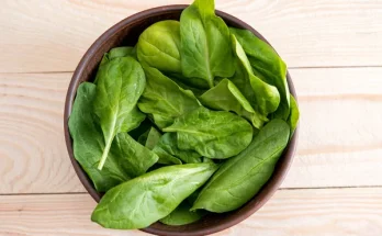 Spenót gondozása: Hogyan szüretelj folyamatosan egészséges leveleket?