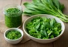 Medvehagyma (Allium ursinum) pesto és saláta felhasználás