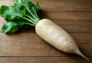 Óriás fehérrépa (Raphanus sativus var. niger) főzelékekhez és savanyúsághoz