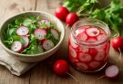 Retek (Raphanus sativus) saláta és savanyúság tippek