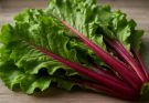 Celtuce piros szárú (Lactuca sativa var. augustana rubra) saláta