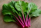 Kínai lapu piros szárú (Brassica rapa var. parachinensis rubra) saláta