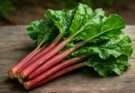 Celtuce hosszúkás piros szárú (Lactuca sativa var. augustana longus rubra) saláta