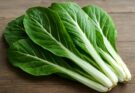 Komatsuna hosszú csíkos (Brassica rapa var. perviridis longifolia striata) saláta