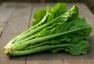 Celtuce hosszú csíkos (Lactuca sativa var. augustana longus striata) saláta